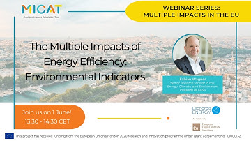 The Multiple Impacts of Energy Efficiency: Environmental Indicators (MICAT-4)