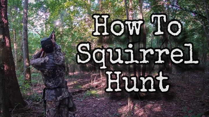How To Squirrel Hunt with a Shotgun