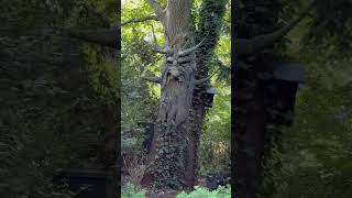 Babble Tree at Efteling