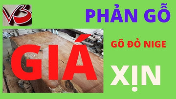 Gỗ gõ đỏ Nige - GIÁ phản gỗ gõ đỏ 2021 - Giá 1m3 gỗ gõ đỏ - Sập Gỗ - Chiếu ngựa văn cương