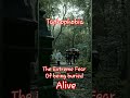 Taphophobia Fobia Fobiast Fobiasocial Fobiastdinfnahotel Fobias Phobia Phobiaissac