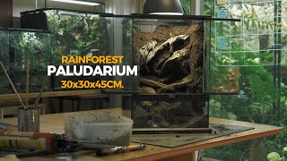 Make a rainforest paludarium 30x30x45cm.