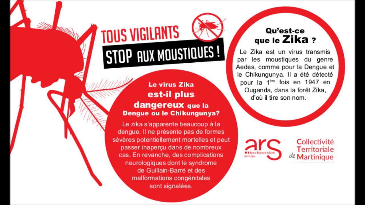 Zika Campagne Martinique janvier 2016 YouTube