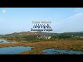 Nangal wetlands  nangal rupnagar punjab india