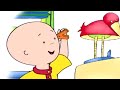 Caillou and the Challenge | Caillou Cartoon #GetUpAndDance