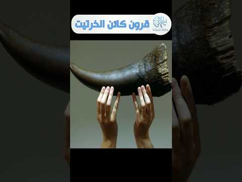 قرون الخرتيت اغلى من الذهب