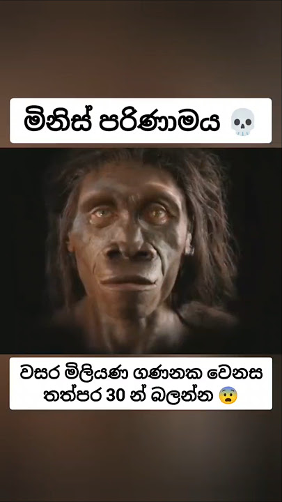 මිනිස් පරිණාමයේ රහස තත්පර තිහෙන් මෙන්න 😨 #fyp #සැම්පා #ashuddha