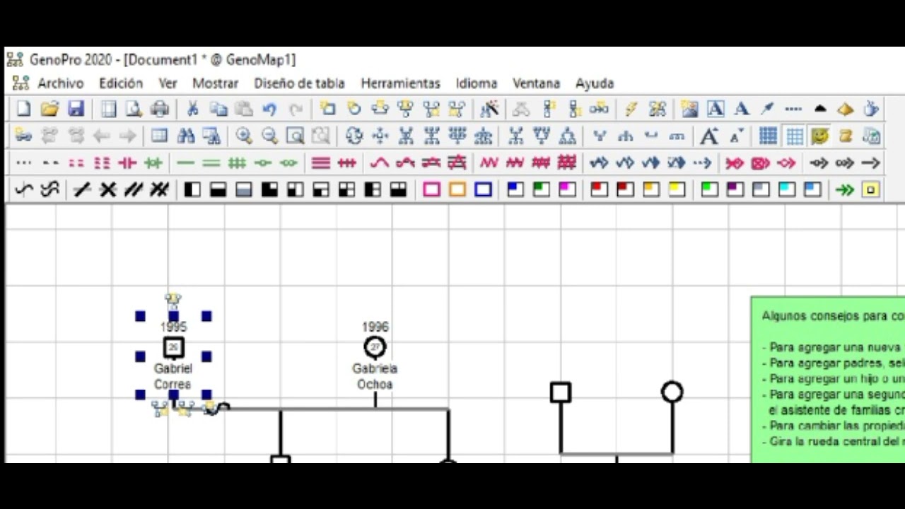 Genopro Genogram Software Genograma-GenoPro - YouTube