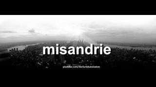 How to pronounce misandrie in French