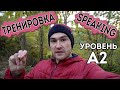 Разговорный английский. Тренировка для уровня А2.