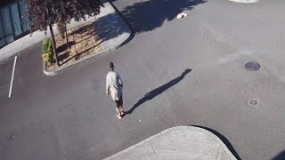Person of interest in NE Portland 4-alarm fire