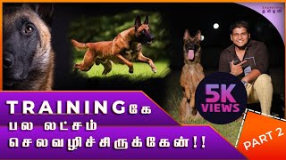 Indian Champion dog- Belgium Malinois dog|Belgium Malinois review in tamil|Malinois Puppy tamilnadu