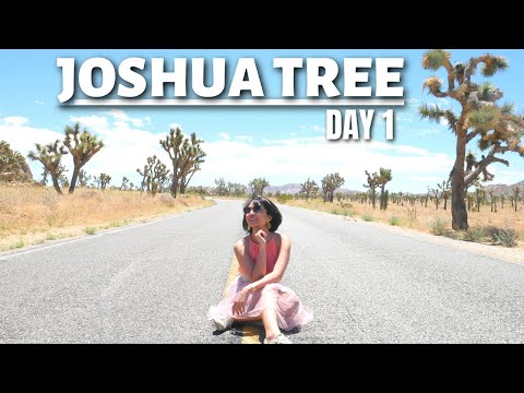 Video: Wie man einen Joshua Tree züchtet: Pflanzen und Pflegen von Joshua Trees