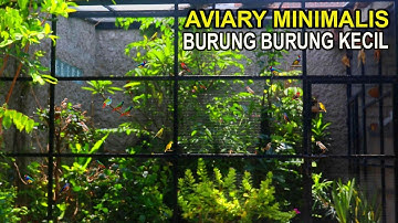 PERKEMBANGAN AVIARY MINIMALIS 3m x 3m x 3m