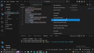 Ansible, Write your playbook, global and local variable, part3