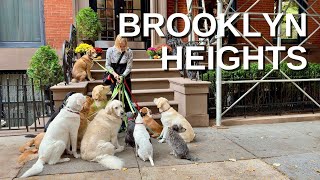 NEW YORK CITY Walking Tour [4K]  BROOKLYN HEIGHTS