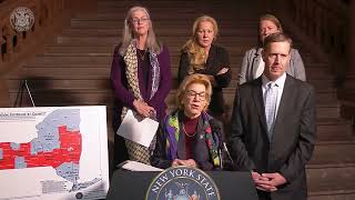 State Sen. Shelley Mayer Remarks Calling for State Funding for Supervised Visitation