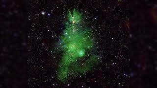 NASA Discovers Cosmic Christmas Tree Cluster of Twinkling Newborn Stars in Space