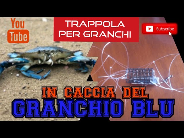 ECCO COME COSTRUIRE LA TRAPPOLA PER I GRANCHI BLU