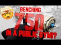 MASSIVE 750 LB BENCH DURING A TRAINING SESSION! | HUGE BENCH SESSION | HOW I WARM UP BEFORE I BENCH