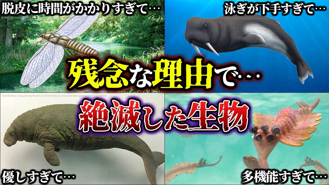 【ゆっくり解説】残念な理由で絶滅した古代生物 Part2