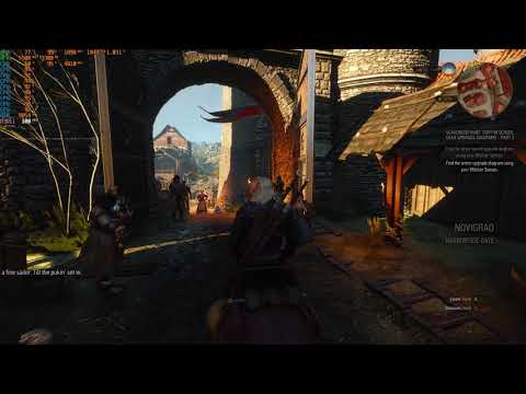 The Witcher 3: Wild Hunt | GTX 1080 TI | 1080p Max Settings 100fps+