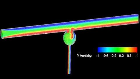 flow simulation around aneurysm model with branch