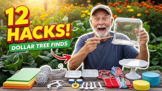 Dollar Tree Garden Hacks You'll Wish You Knew Sooner