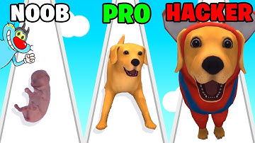 NOOB vs PRO vs HACKER | In Dog Life Simulator | With Oggy And Jack | Rock Indian Gamer |
