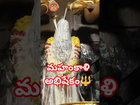 Maha Abhishek #maakali #kamakya #maakali #maa #durgapuja #bhakti #mahadev #hyderabadtemples