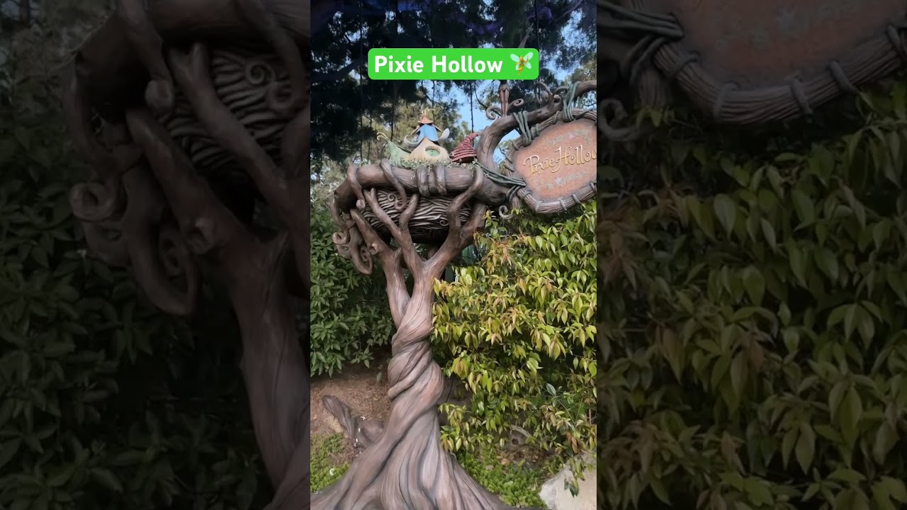 Pixie Hollow 🧚🧚 