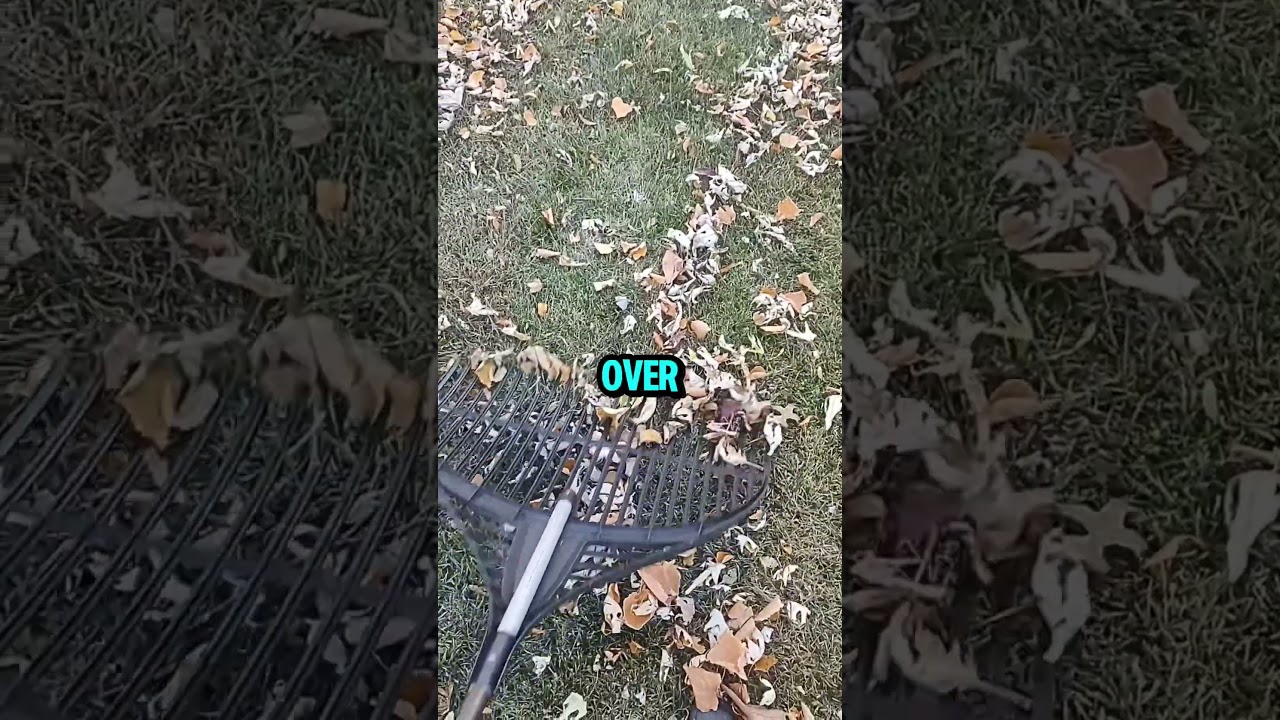 Как правильно пользоваться граблями 🍂