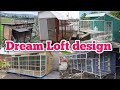 Pigeon loft design  dreamloft 