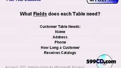 599CD Microsoft Access 101.3