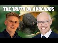 Time To Stop Eating Avocados? | Alexander Stahel &amp; Christopher Vonheim