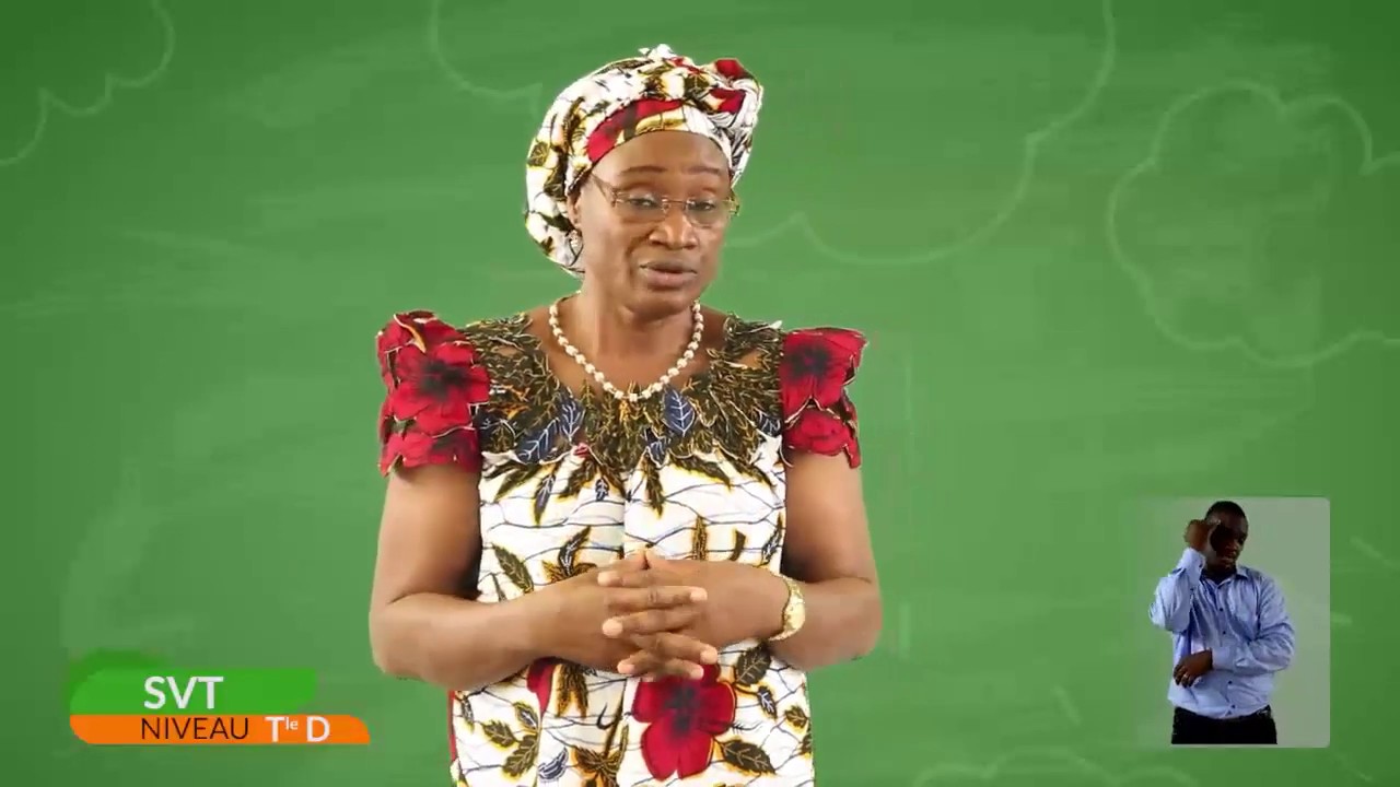 TERMINALE D-SVT-SEMAINE 20 : Comment l’exploitation des ressources minières se fait-elle ?