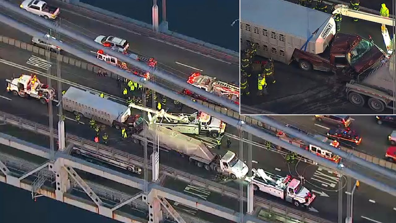 Trailer hauling livestock crashes on Verrazzano-Narrows Bridge