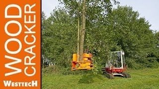 Schneidkopf Woodcracker CL190 mit Sammelgreifer