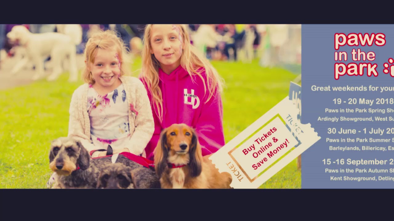 protecting preloved border collies