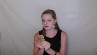 Introductory Speech- Past, Present, Future