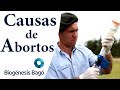 Causas de abortos en Bovinos- Biogénesis Bagó