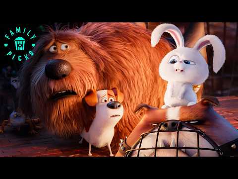 Two Sweet Pets Try to Survive a Viper Test in the Sewer | The Secret Life of Pets