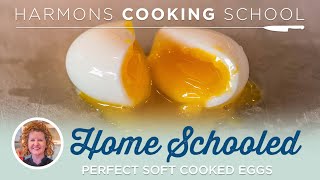 Home Schooled - Soft Cooked Egg screenshot 1