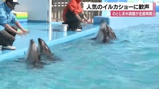 イルカショー完全再開に歓声！地震から復活したのとじま水族館 (2025年