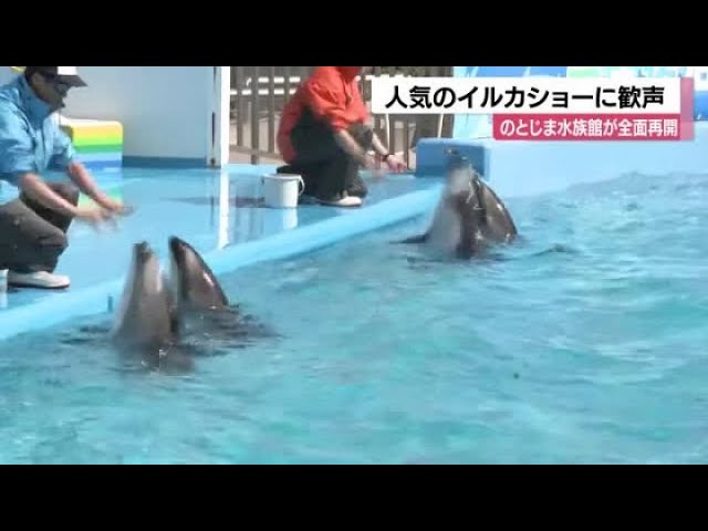 イルカショー完全再開に歓声！地震から復活したのとじま水族館 (2025年