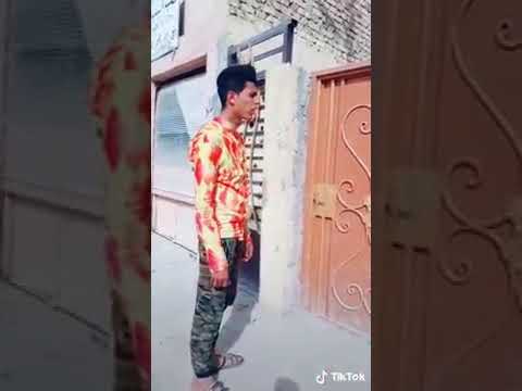 انت بيت علاوي الزاجل
