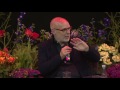 BRIAN ENO & BJARKE INGELS  - ON INSTRUMENTS OF CHANGE (Live from Heartland Festival 2016)