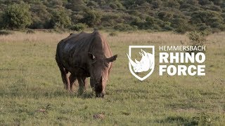 Ralph Koczwaras Hemmersbach Rhino Force