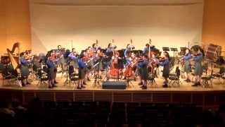 DGS String Orchestra - Tchaikovsky - Souvenir de Florenza movt. IV