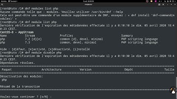 CentOS 8 Serveur LAMP : Partie 5 Changer de version de PHP avec les modules